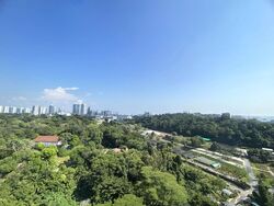 Normanton Park (D5), Apartment #565839581